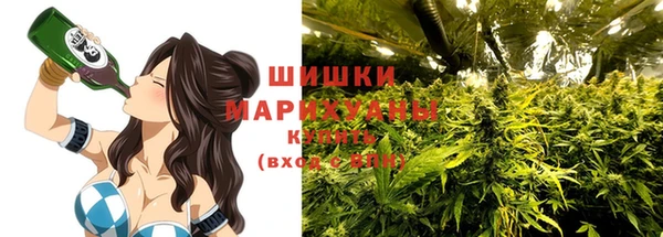 спайс Инсар