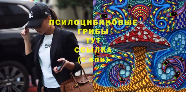 прущая мука Иннополис